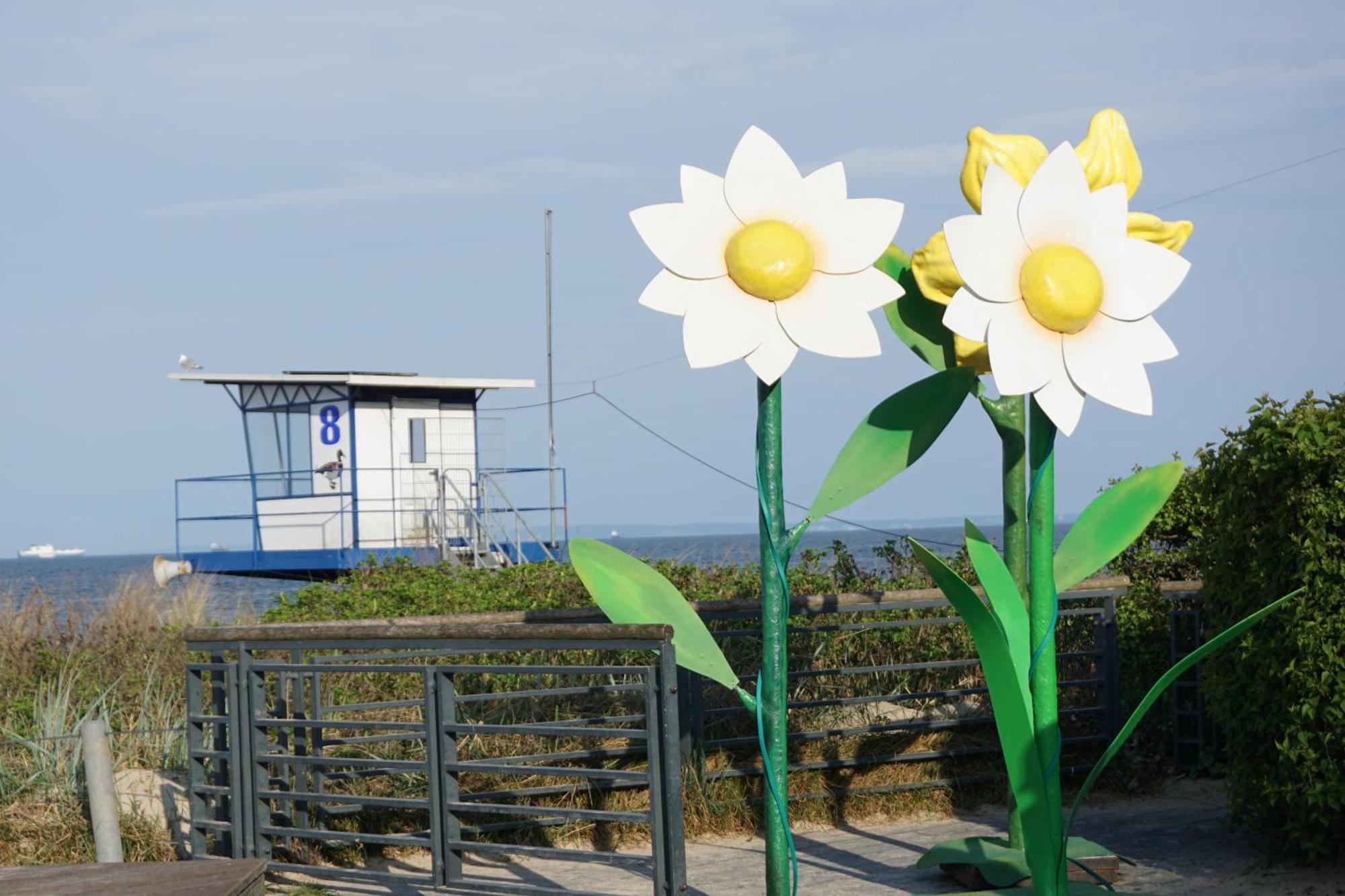 Strandoase - Fewo 21 Heringsdorf Zewnętrze zdjęcie